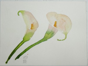 fiori flowers acquerello watercolors stella ehinar (4) 